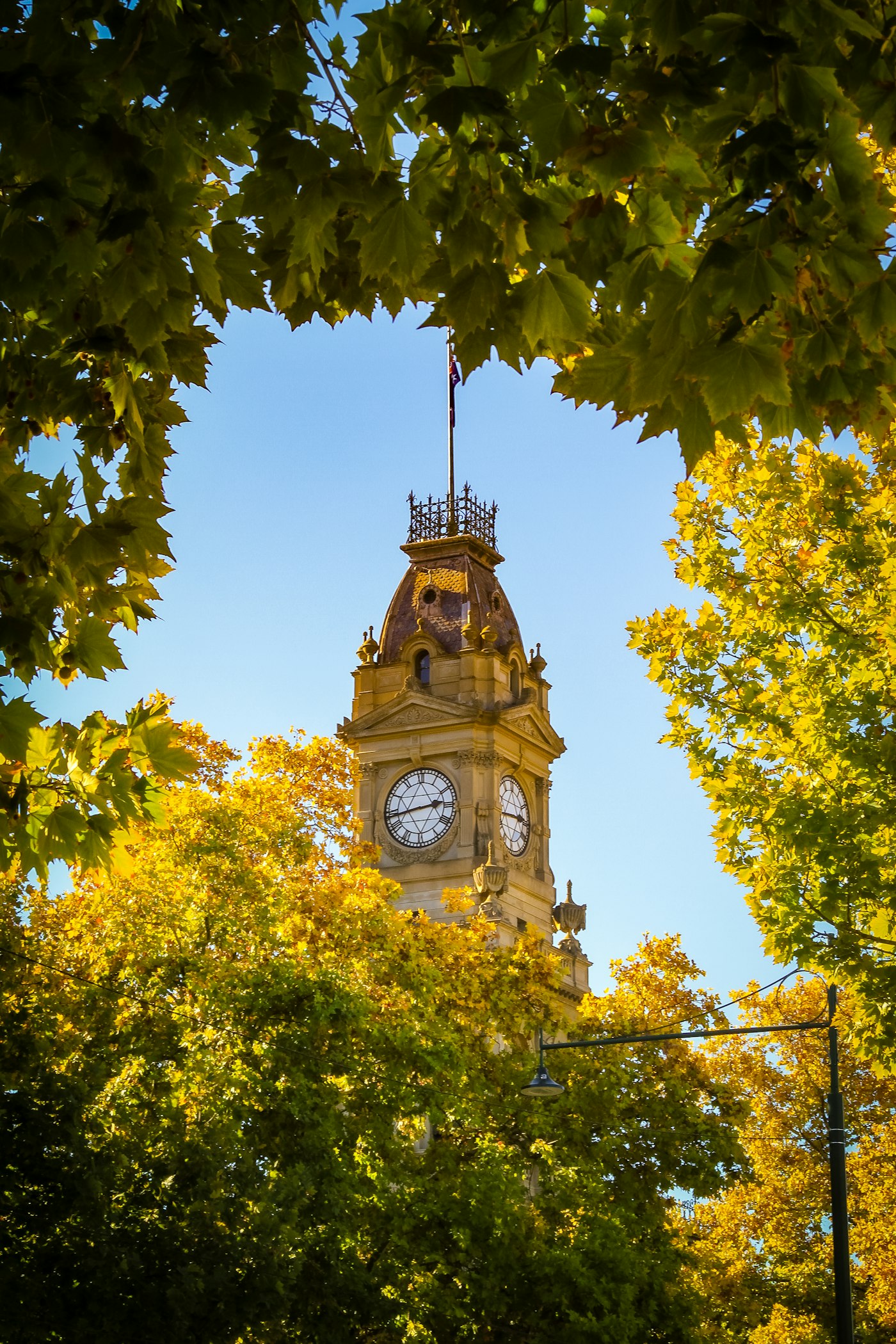 Bendigo clock tower framed by autumn trees