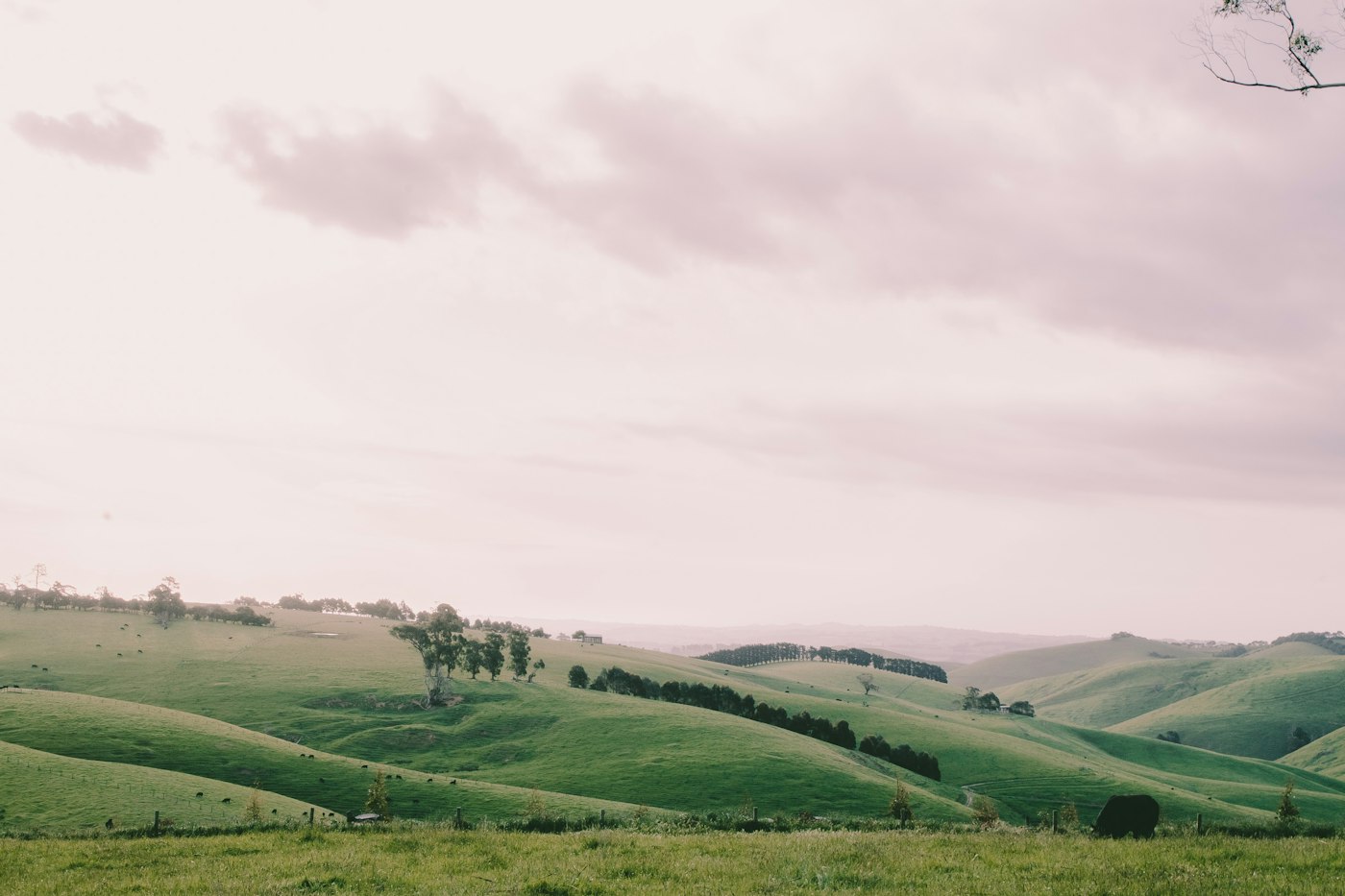 Green hills on the south eastern edge of Ballarat