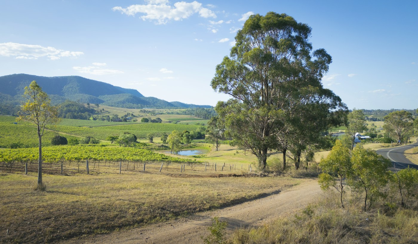 Country road through green paddocks